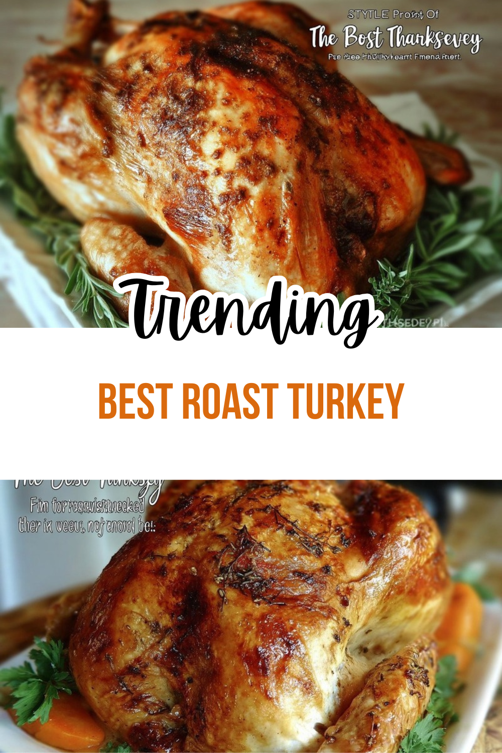 Best Roast Turkey